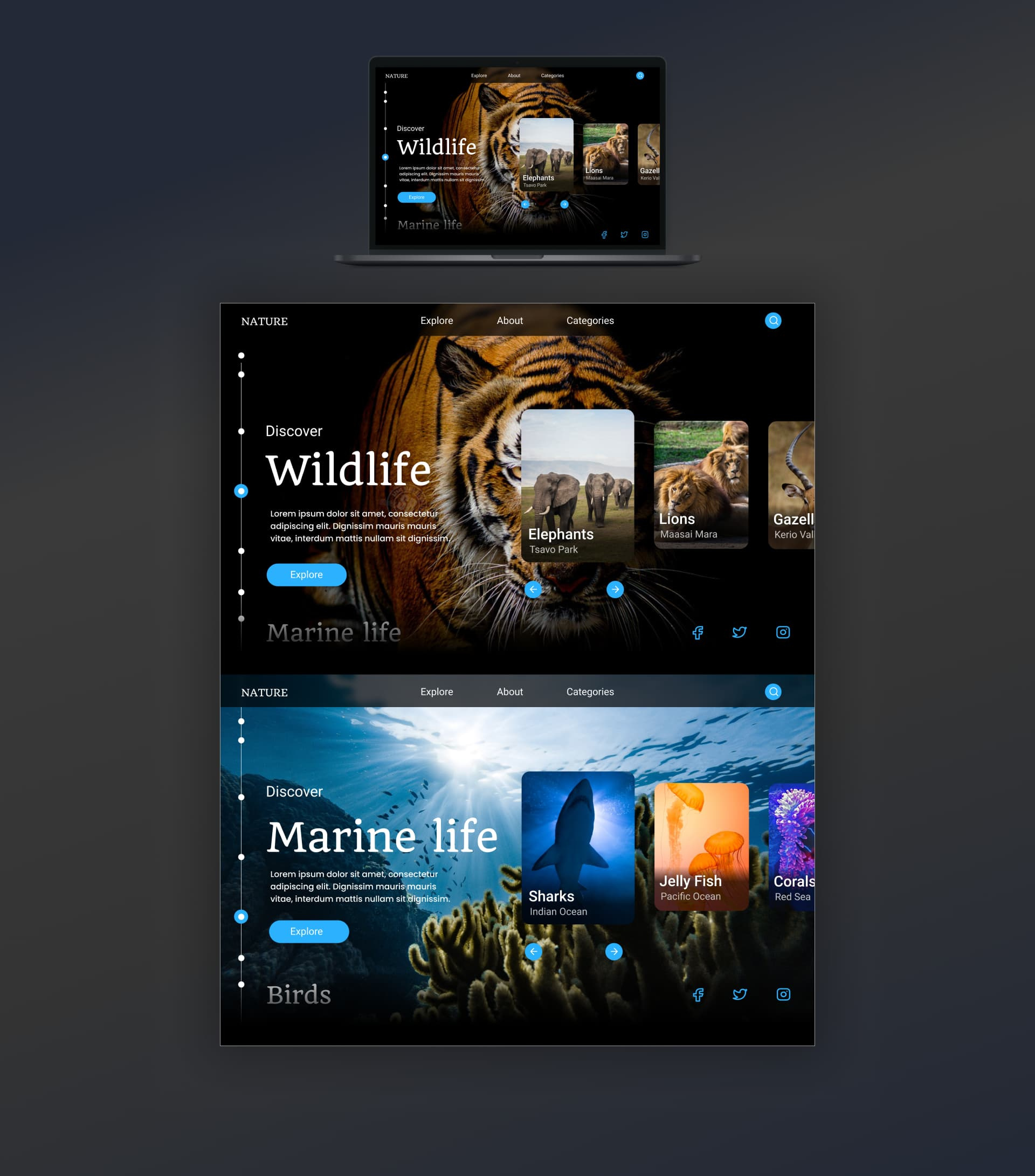 Wildlife Web Ui Design