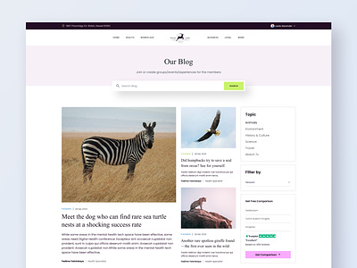 Wild Life Blog Page Website 📝 animal website article blog post blog ui blog website blogging clean color minimal news news update topics trendy typography ui ui design ux design web blog website wild website