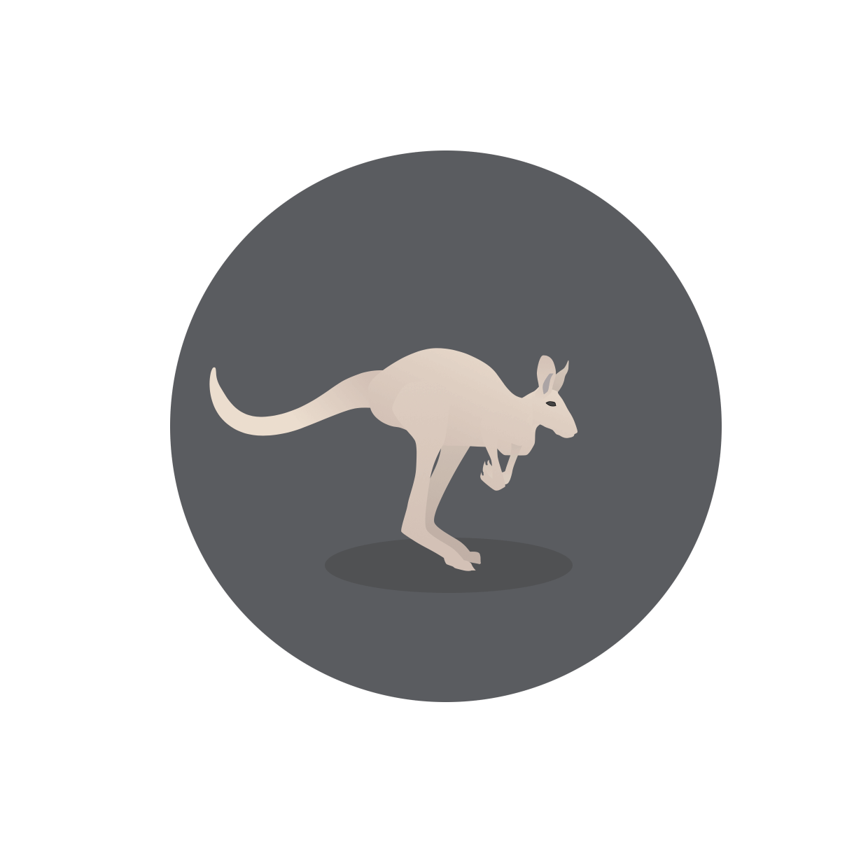 Kangaroo - Animated Animal animation branding motion graphics ui