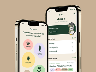 TeaAmi – tea meditation app animation design graphic design illustration mobile modern ui ux