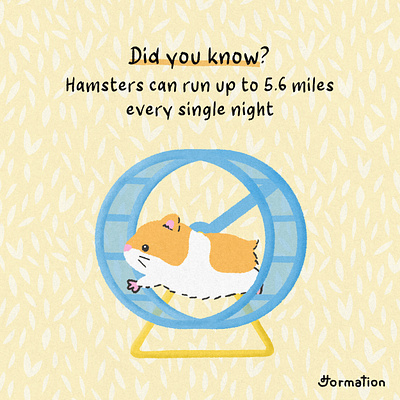 Hamster can run up to 5.6 miles every single night animal cartoon digital art digital illustration drawing fun fact hamster hamster wheel illustration pet procreate run