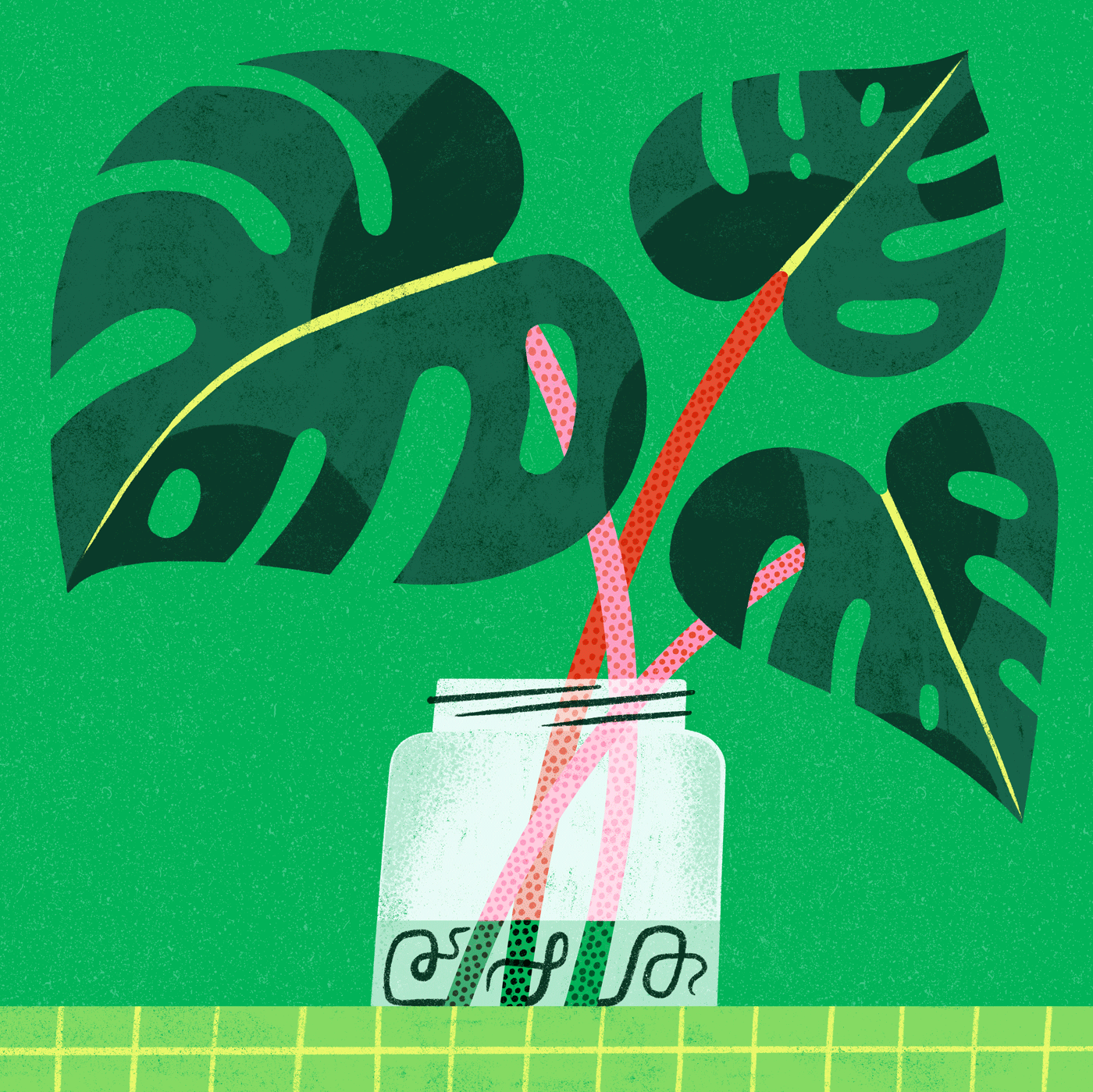 Monstera Propagation colourful digital art house plant ill illustration modern monstera plant plants propagation stylized whimsical