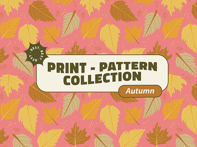 Boho Autumn Pattern Collection autumn collection brand brand identity brand packaging branding design graphic design illustration ilustracion packaging pattern print collections vector visual identity