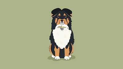 Minimalistic illustration of Sheltie dog art character dog flat graphic design illustration pet sheltie vector