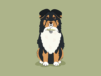 Minimalistic illustration of Sheltie dog art character dog flat graphic design illustration pet sheltie vector