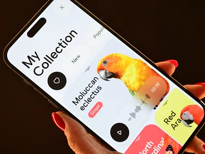 Bird Buddy - Smart Camera Bird Feeder ai app automation b2b bird camera crm design home ios iot mobile monitoring saas smart software track ui ux web 3.0