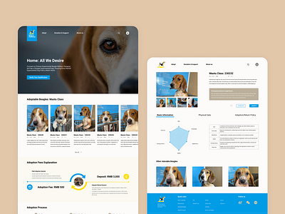 Rescuing Experimental Beagles Web Design adoption beagle dog dog shelter experimental rescuing dog timeline ui ux design web design