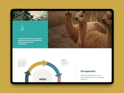 BMRG 3 austrialian ecology environmental non profit responsive ui ux web