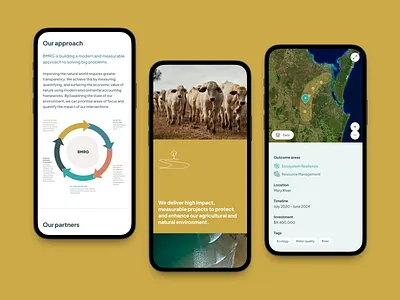 BMRG 6 australia ecology environmental non profit responsive ui ux web