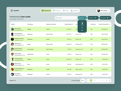 DataPro CRM (Table) crm design table ui ux web