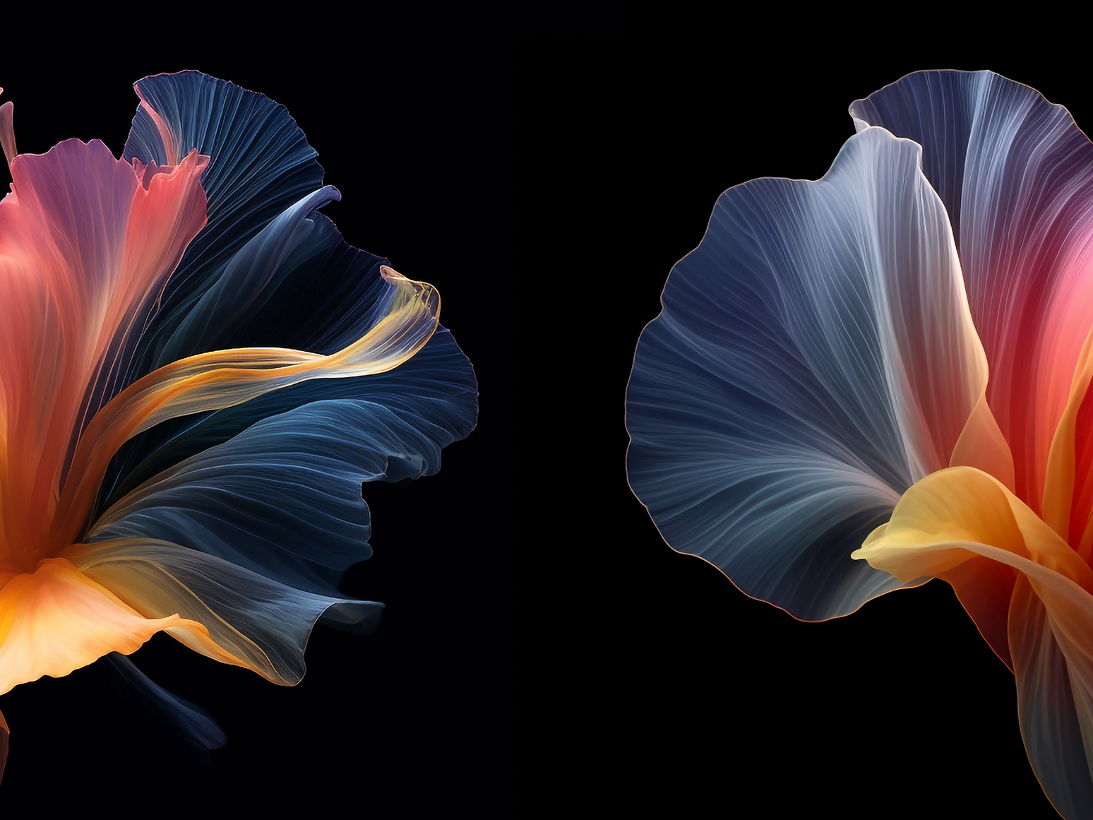 Colorful elegant transparent flower petals by Paul Rover on Dribbble