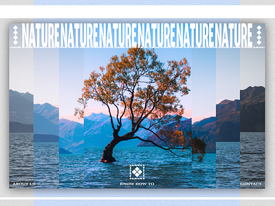 Save Nature app app design branding design logo nature page save nature site ui uiux ux uxui web web design website