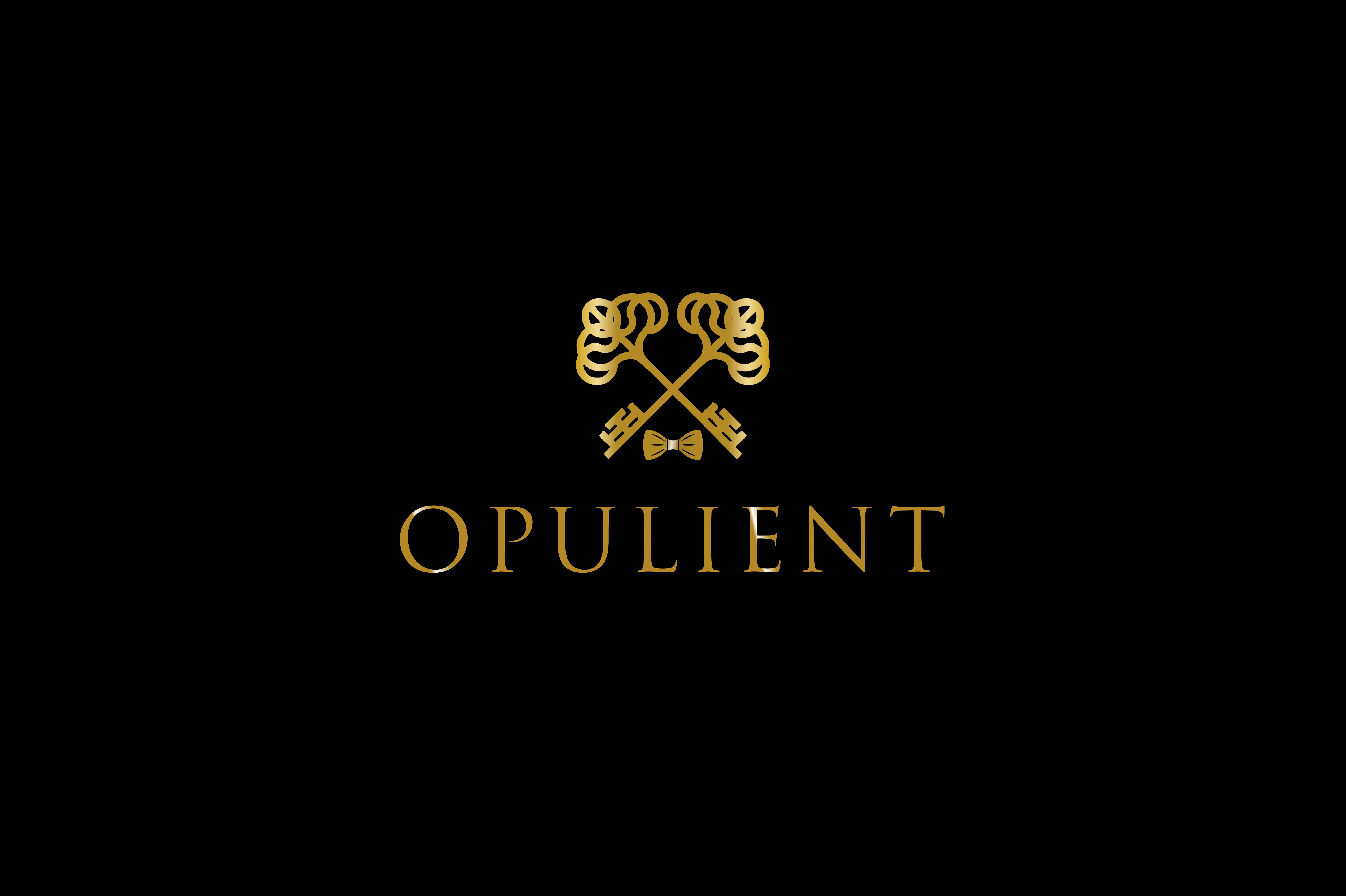 Logo Design for Brand Opulient branding design graphic design key logo logo ui ux vector