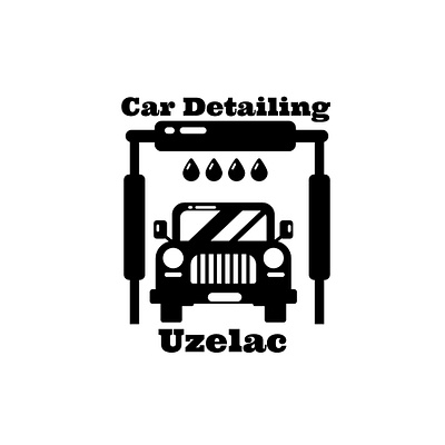 Car detailing logo branding graphic design logo