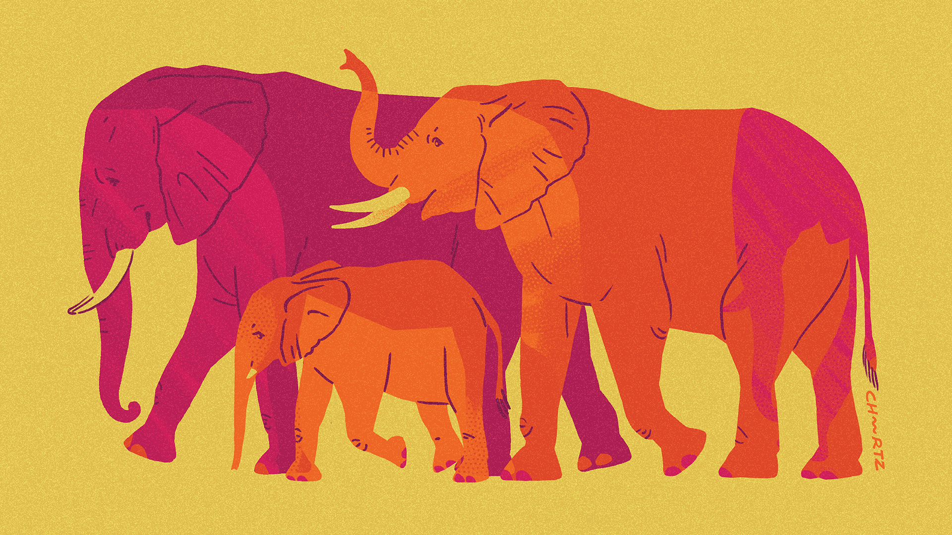 Elephant Parade animal bright design digital elephant graphic illustration license surface t shirt zoo