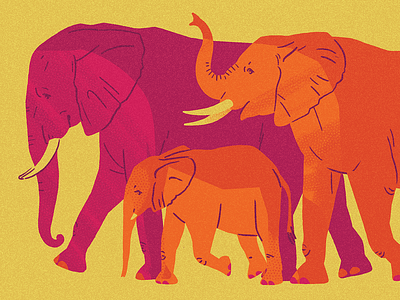 Elephant Parade animal bright design digital elephant graphic illustration license surface t shirt zoo