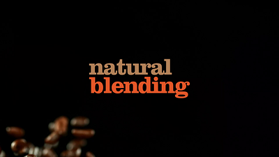 Coffee website animation branding coffee website