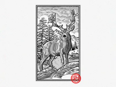 Deer Illustration canadian graphic designer canadian illustrator deer logo digital engraving graphic design illustration illustrator lineart vector