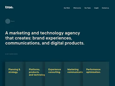 Agency website - early visual concept