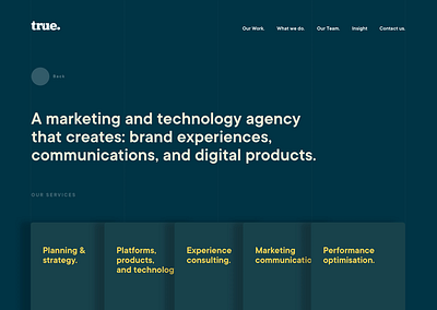 Agency website - early visual concept