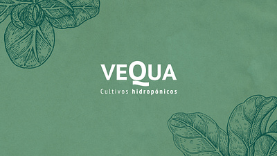 VEQUA branding editorial graphic design packaging