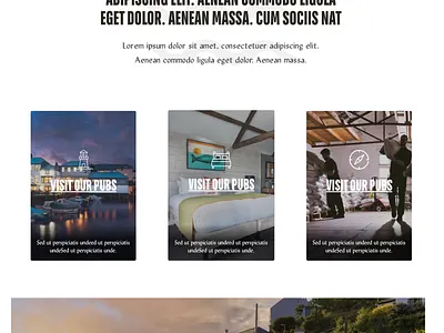 Brewery website - Early visual concept