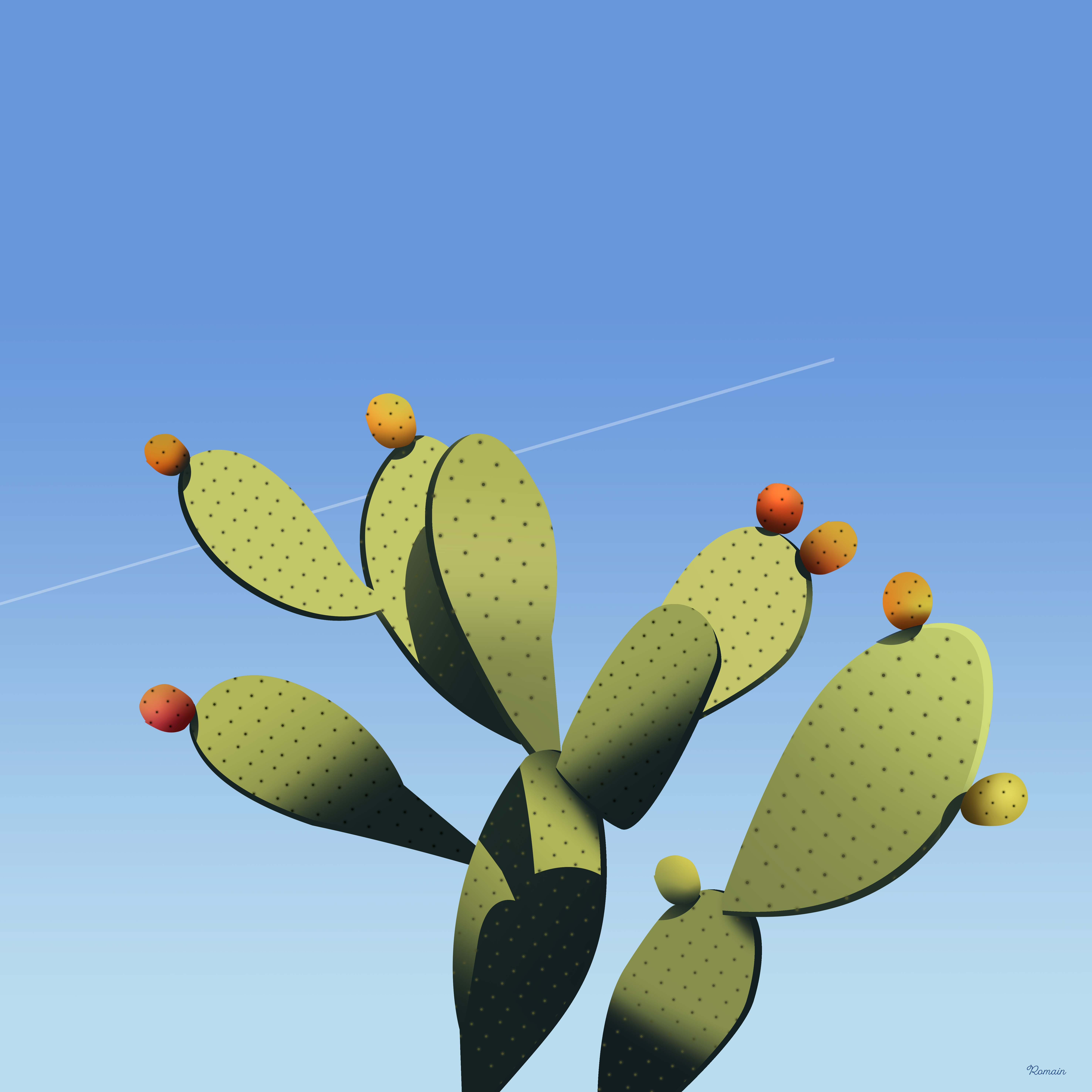 Figues de barbarie illustration light maroc morroco nature travel