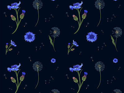 Celebrating Weeds cornflowers dandelions floral illustration pattern procreate procreate app procreate art weeds