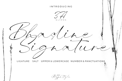 Bhasline Signature calligraphy font design handlettering ink ink signature natural signature scirpt signature typography