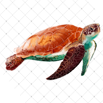 Cute Turtle animation branding design graphic design logo motion graphics nature ภาพถ่าย รูปภาพ