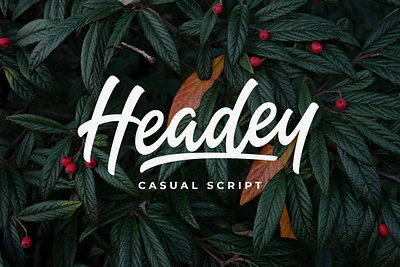 Headey - Casual Script branding brush script casual font logo logotype poster script sign smooth stylish type typeface typography