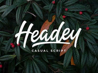 Headey - Casual Script branding brush script casual font logo logotype poster script sign smooth stylish type typeface typography