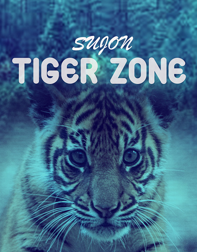 Tiger zone flyer design animation branding crad desgin design graphic design illustration logo ui vector