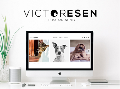 animal photographer identity branding graphic design logo ui ux web web design