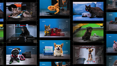 Pet calendar animals branding calendar design graphic design merch pets photo printing