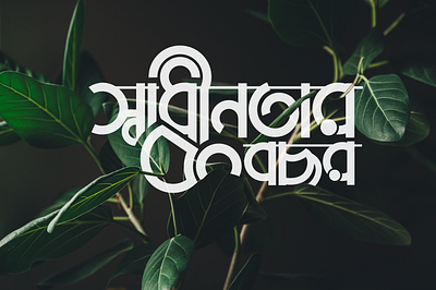 Bangla Typography Design branding design graphic design ill illustration logo minimal simple vector
