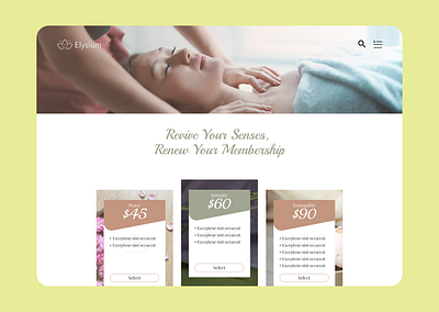 Pricing Page Day 30 dailyui day30 pricing spa membership ui design ux desing