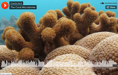 Exploring the Coral Microbiome (podcast) podcast science