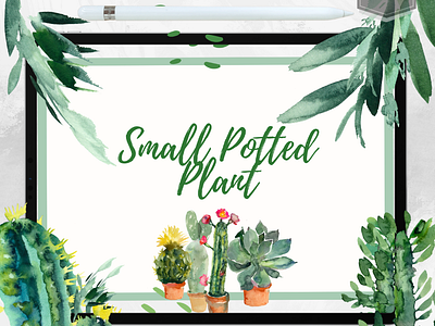 Small Potted Plant Watercolor Clipart Bundle clipart creative inspiration digital digital planners diy diy crafts echeveria graphic design home decor mindfulness natural beauty plant imagery png relaxation relaxation themes self care succulent care succulent clipart succulent plants succulent varieties