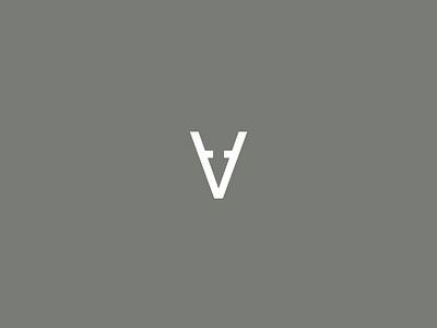 VA Logotype branding design graphic design illustration logo typography vector
