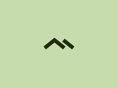 Mountain logo branding design graphic design illustration logo
