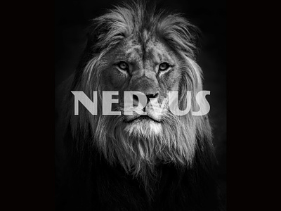 Nervus Fashion logo