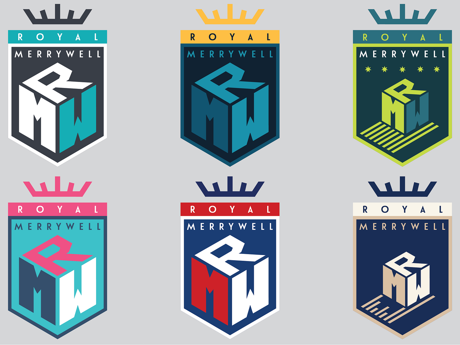 shipping-company-logo-color-variants-by-dan-skrypnik-on-dribbble