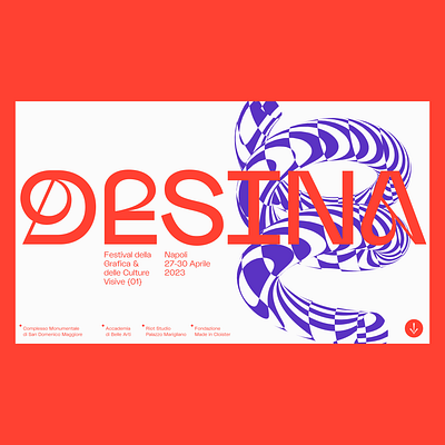 DESINA design typography visual visual design web design