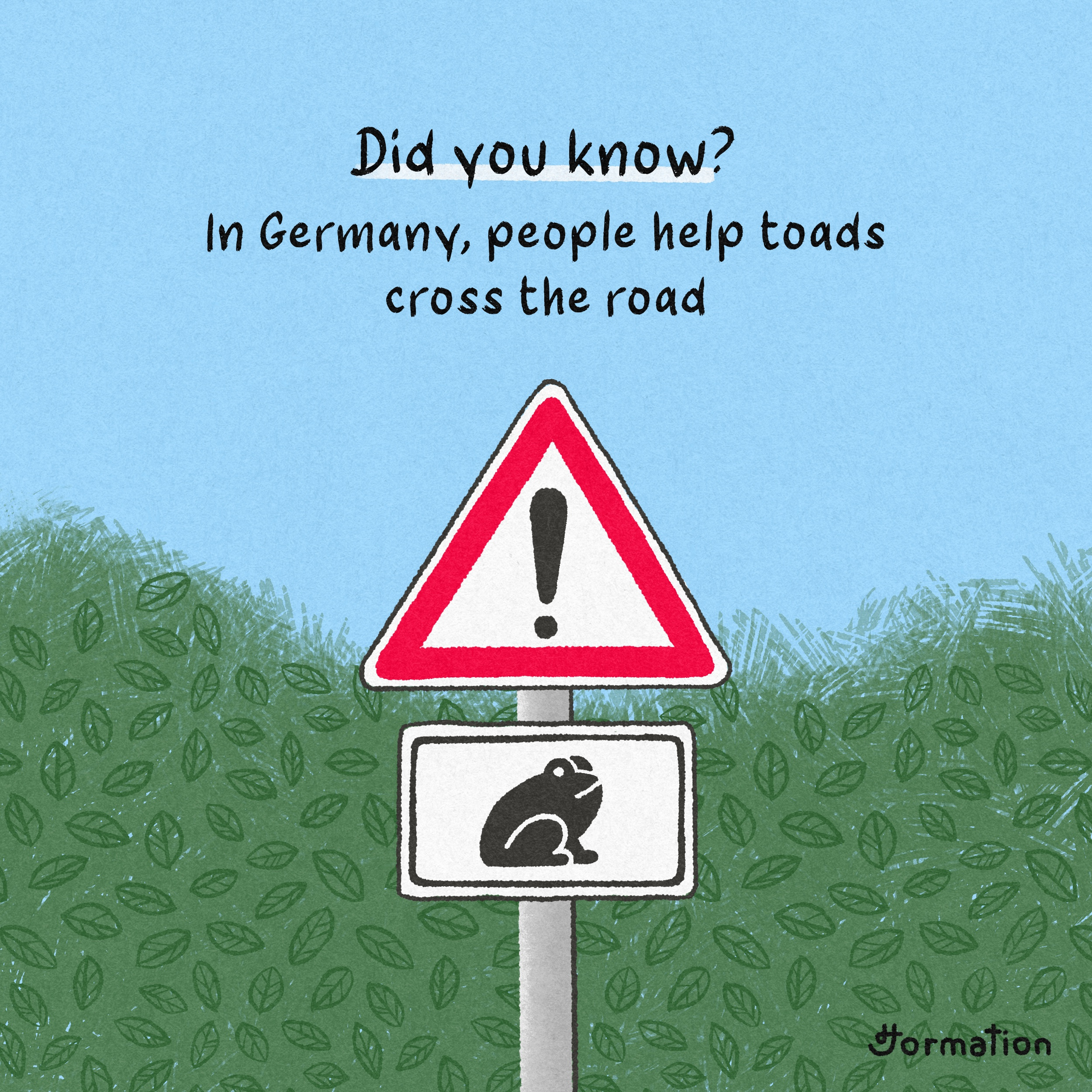 In Germany, people help toads cross the road cartoon digital art digital illustration drawing frog fun fact germany illustration procreate toad
