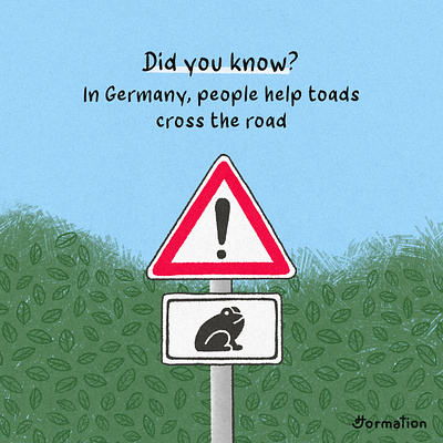In Germany, people help toads cross the road cartoon digital art digital illustration drawing frog fun fact germany illustration procreate toad