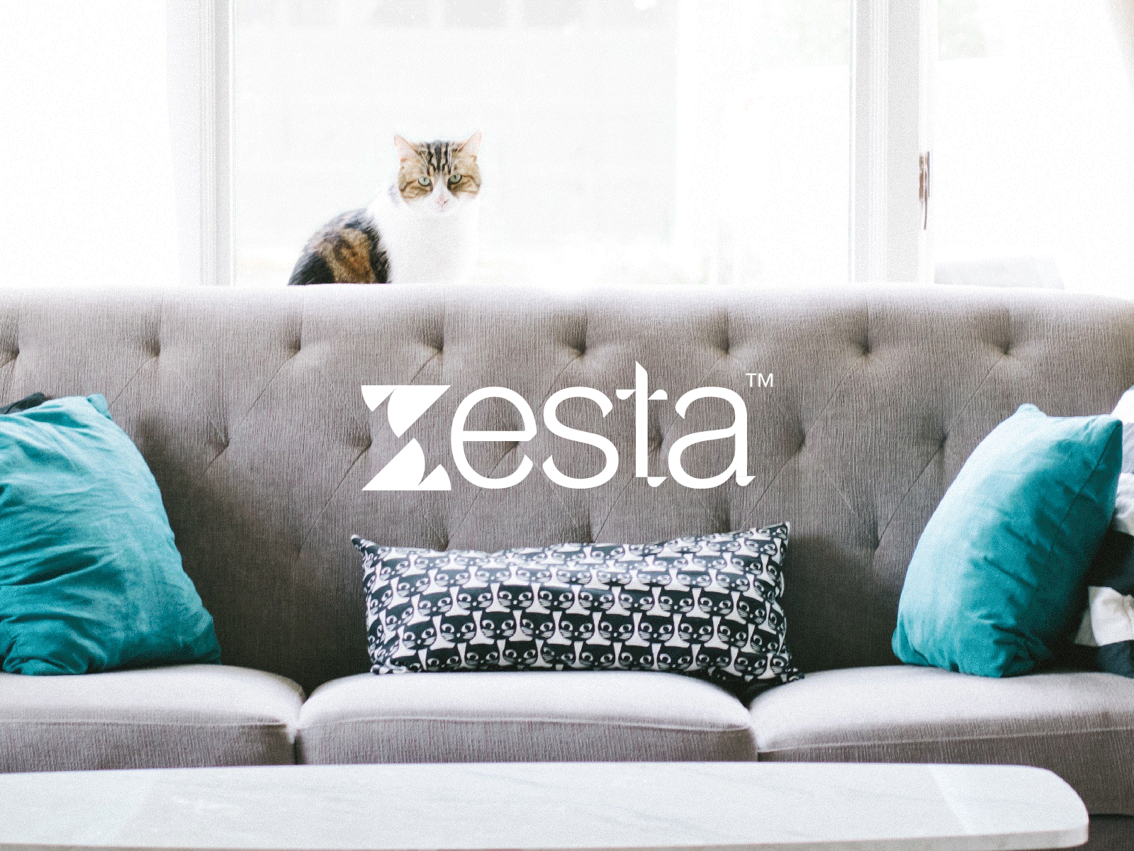 Zesta™ Interior and Online Real Estate Company Brand Identity beauty brand identity branding home house interior letter mark letter z living livingspace logo design logofolio logos minimal minimalism mountain peace real estate realtor resident