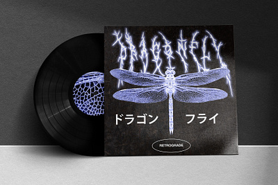 dragonfly album design design graphic design