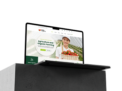 Brais Organic Food Website Design app design graphic design illustration re design themeforest ui user inerface ux website websitedesign webui