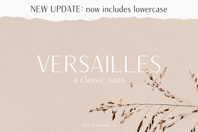 Versailles | A Classic Sans fashion